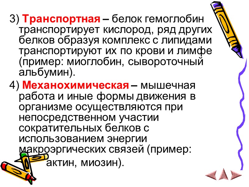 3) Транспортная – белок гемоглобин транспортирует кислород, ряд других белков образуя комплекс с липидами